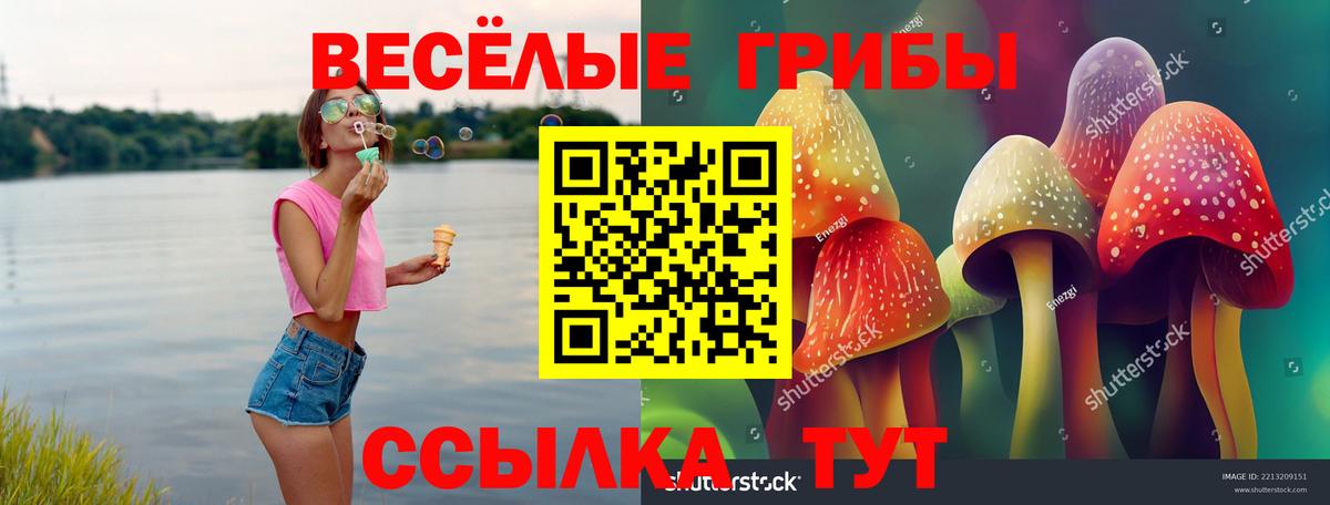 наркошоп  Вход с VPN  Усть-Илимск  Псилоцибиновые грибы MAGIC MUSHROOMS 