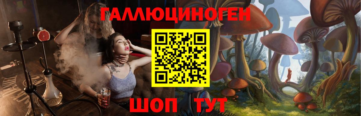 Псилоцибиновые грибы мицелий Усть-Илимск